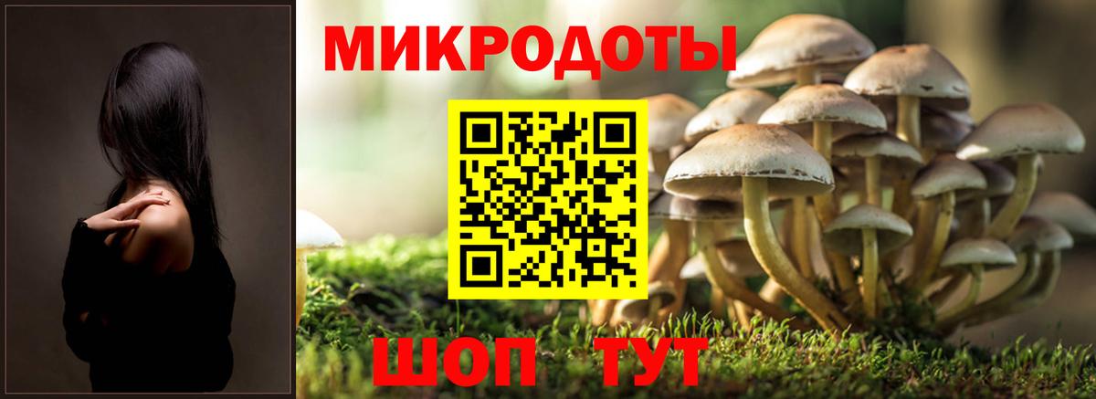 Галлюциногенные грибы Cubensis Нягань